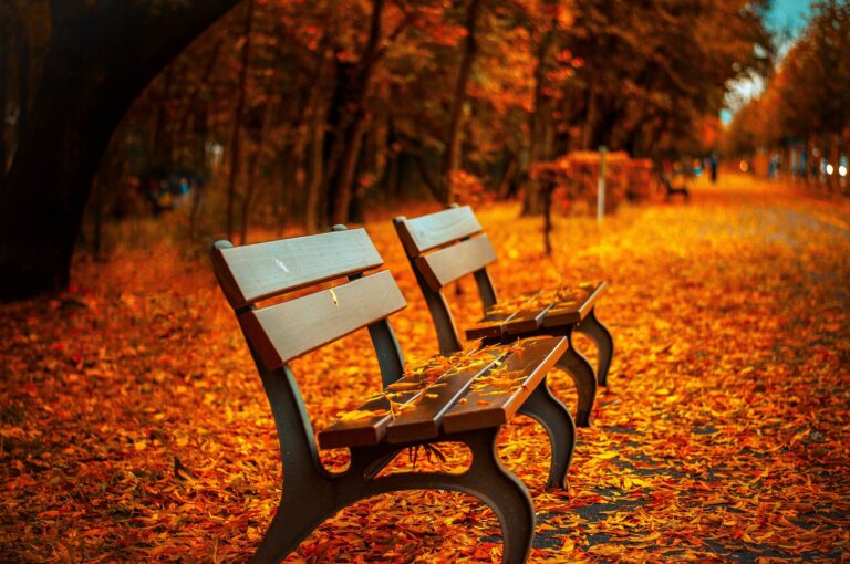 Preparing an Aging Parent for Fall in Haliburton: A Practical Family Checklist